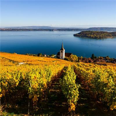 美高梅网址手机app下载