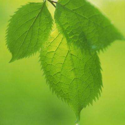 足球下赌注app-登录入口