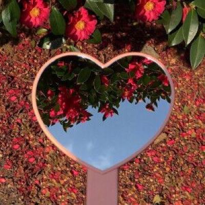 亚博app(中国)官方网站