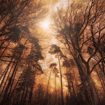 乐彩彩票welcomeapp下载