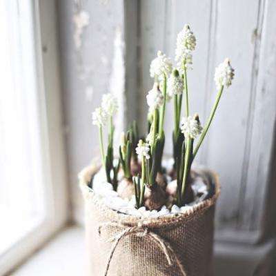 博鱼app官网下载