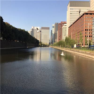 管家婆一码一肖资料