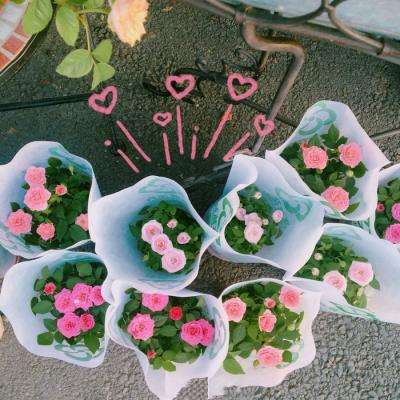 澳门金沙扫码下载