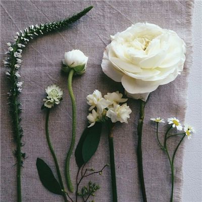 ROR体育官网登录入口