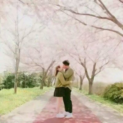 澳门天天免费资料大全下载手机app下载